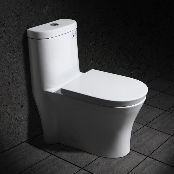 Modern Dual Flush One-Piece Elongated Siphonic Toilet with Slow Close Seat & Lid in White