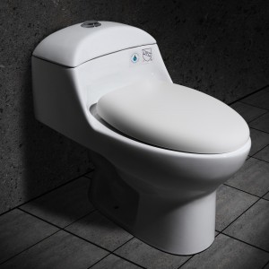 1-Piece 0.8/1.6 GPF Dual Flush Compact Elongated Toilet with Slow-Close Seat in White