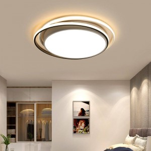 Ceiling Lights for living room lamparas de techo colgante moderna LED Ceiling Lamp Dimmable Light with remote controls