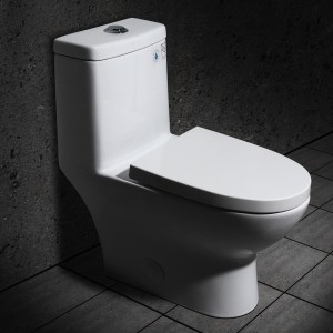 Modern Dual Flush Elongated One-Piece Siphonic Toilet Standard Height in White with Close Seat & Lid