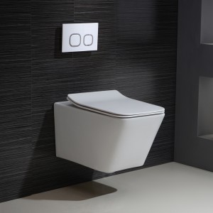 Modern Elongated 1.1/1.6 GPF Dual Flush Wall Hung Toilet with In-Wall Tank and Carrier System in White
