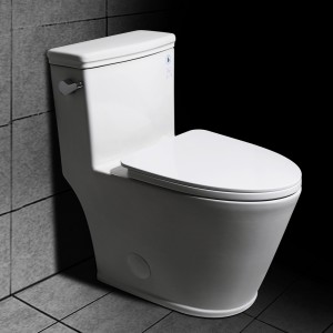 Modern White One-Piece Elongated Single Flush 1.28 GPF Toilet Siphonic System Side Lever Chrome