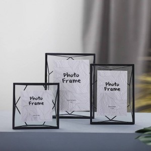 Plant Specimen Frame Metal Creative Geometry Set European Glass Photo Frame Gifts