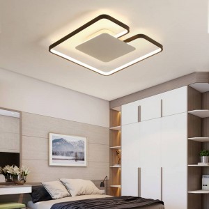 ultra-thin LED Iron art Ceiling Lights for the living room chandeliers Ceiling fixture for the modern ceiling lamp high 6cm