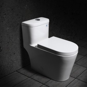 White Water Sense Labeled One-Piece Elongated Dual Flush Toilet Slow Close Seat Siphon Jet