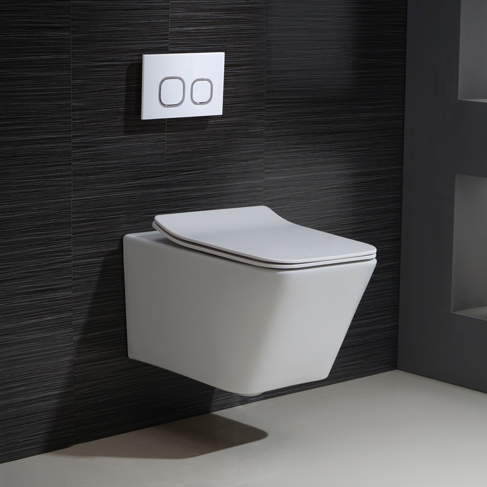 two piece wall mounted toilet