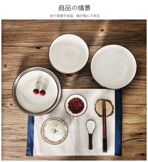 Geschirr-Reisgerichte der Schüsselhaushaltsschüssel stellten keramische Platte der japanischen Art ein