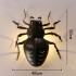 Beetle 50CM - +122,22 €